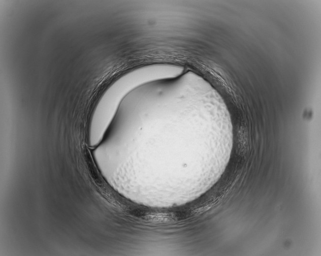 X0000098100499200805021113