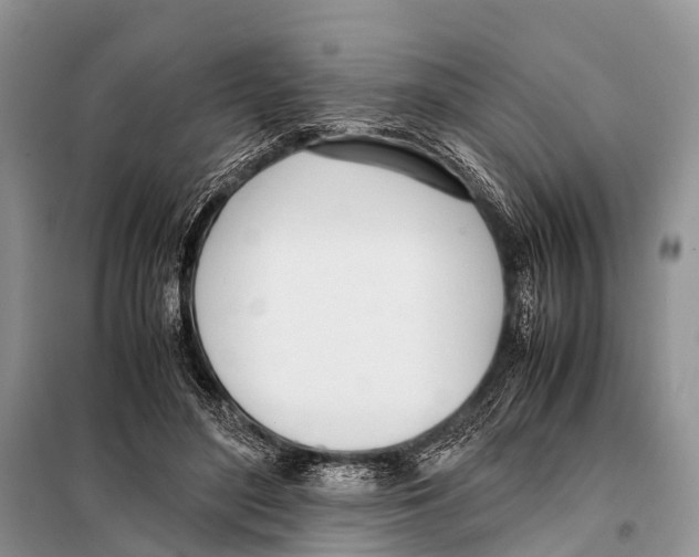 X0000098100500200805021113