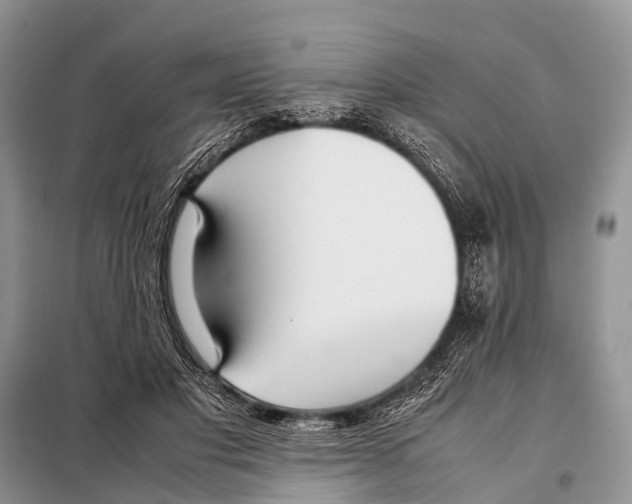 X0000098100501200805021113