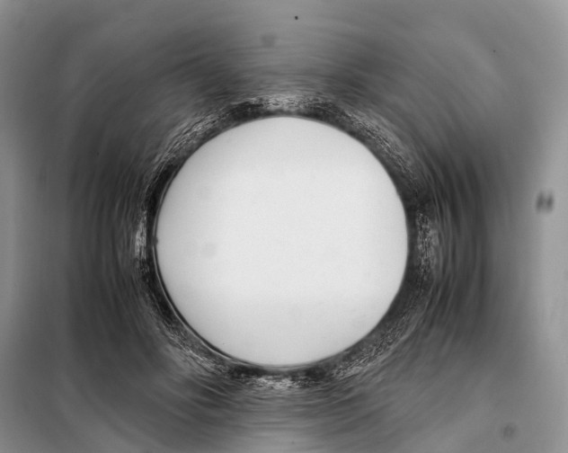 X0000098100502200805021113