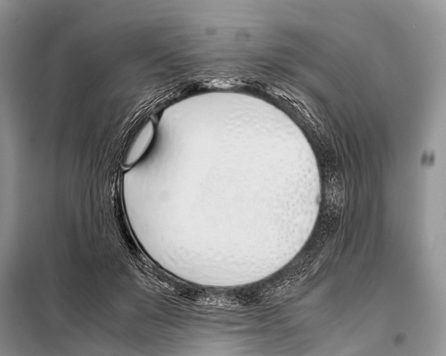 X0000098100503200805021113