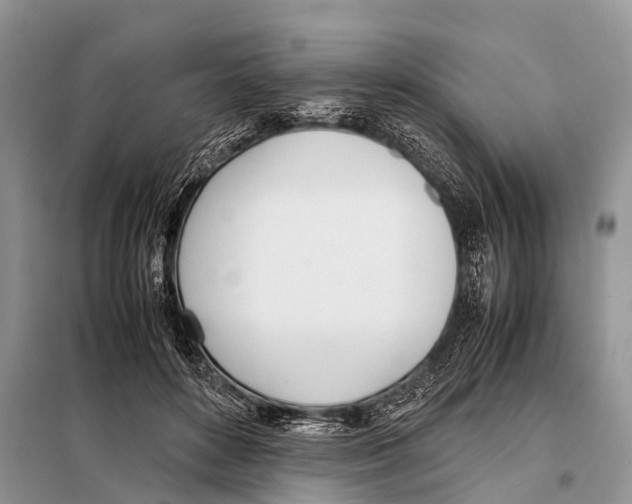 X0000098100504200805021113