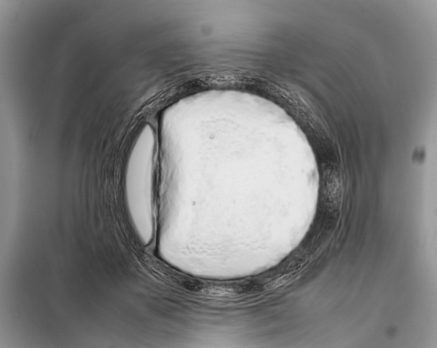 X0000098100507200805021112