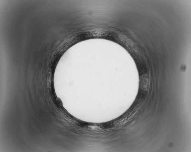 X0000098100509200805021112