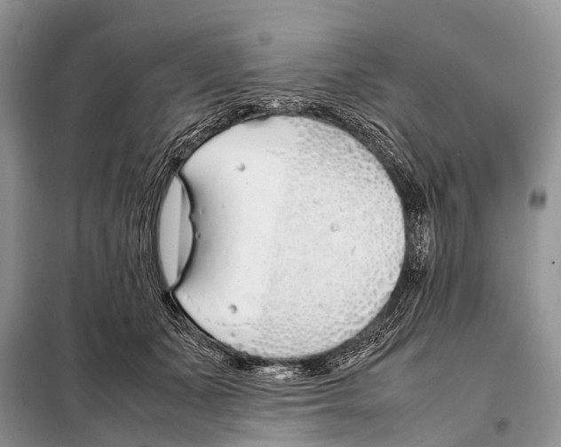 X0000098100511200805021112