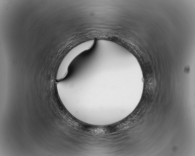 X0000098100513200805021112