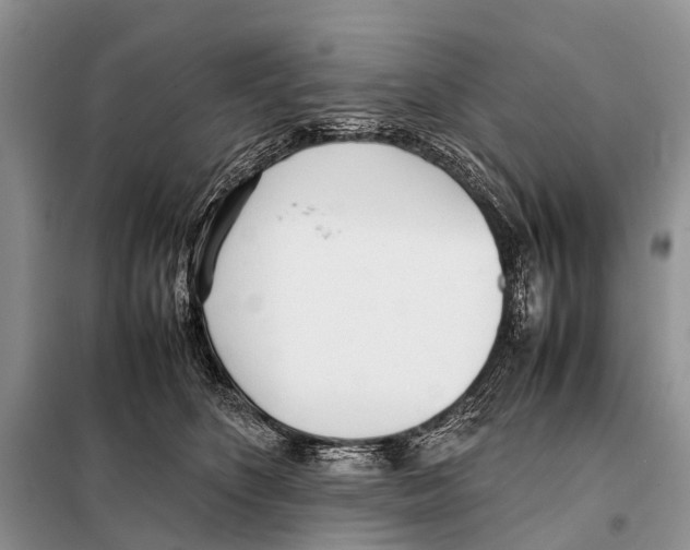 X0000098100516200805021112