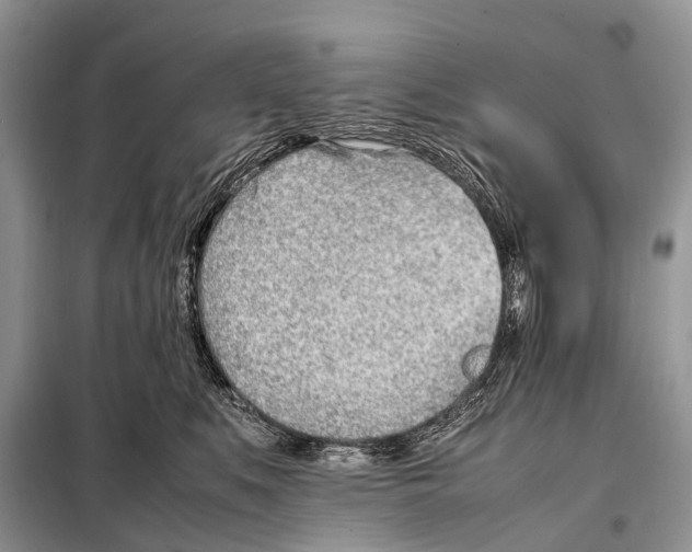 X0000098100519200805021112