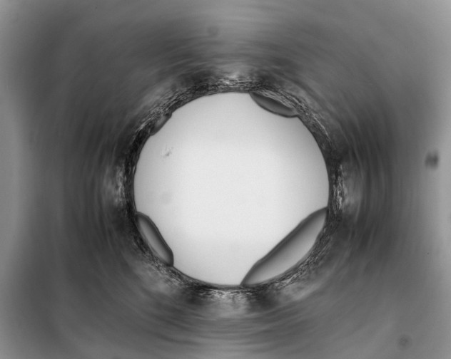 X0000098100520200805021112