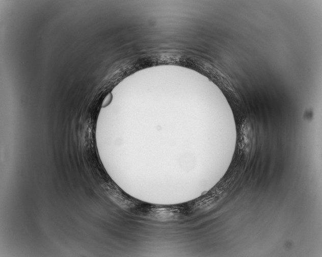 X0000098100522200805021112