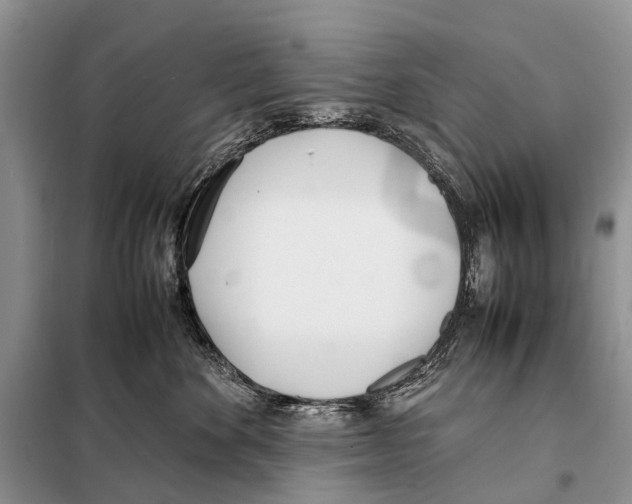 X0000098100524200805021112