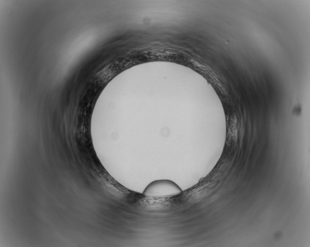 X0000098100526200805021112
