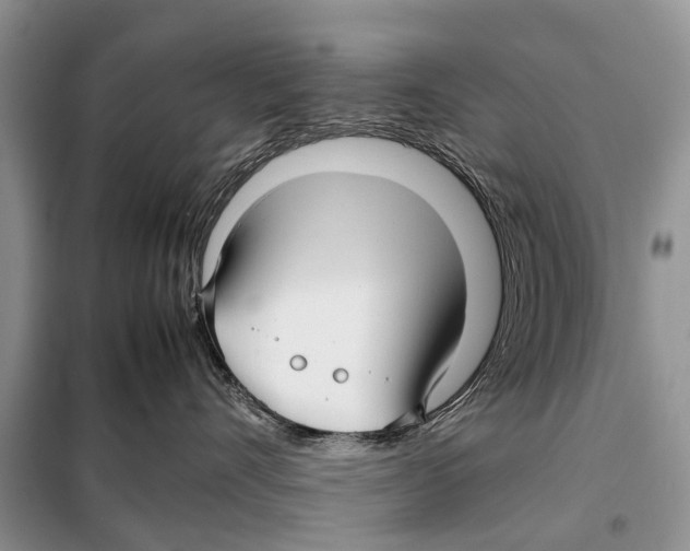 X0000098100528200805021112