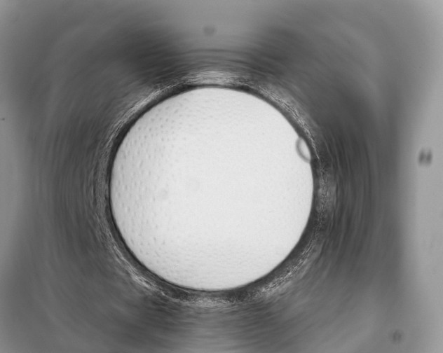 X0000098100529200805021112