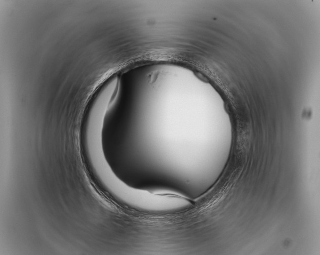 X0000098100530200805021112