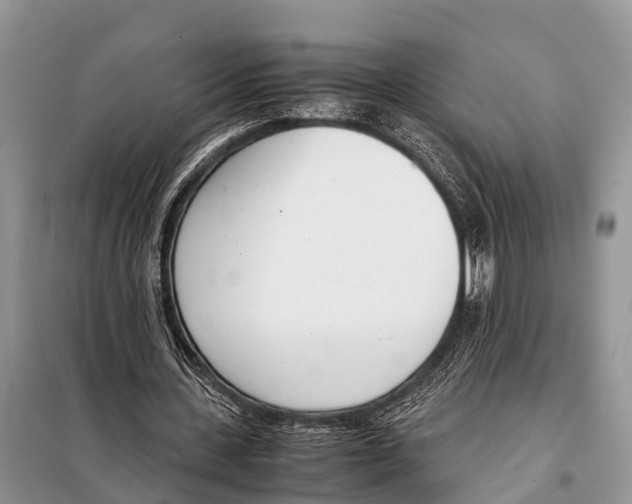 X0000098100531200805021112