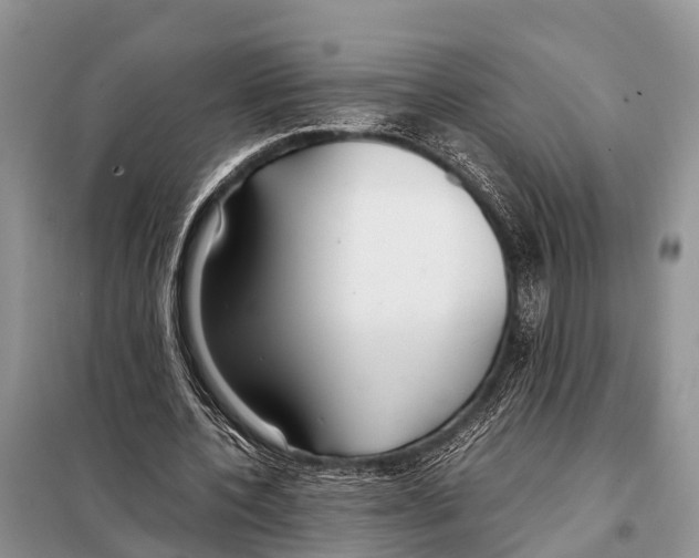 X0000098100532200805021112
