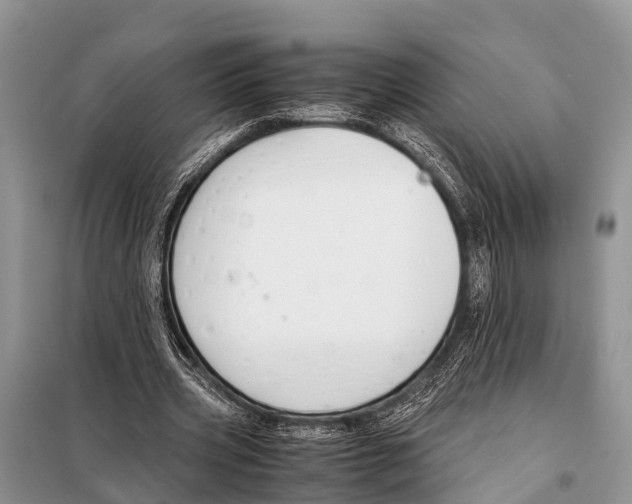 X0000098100533200805021112