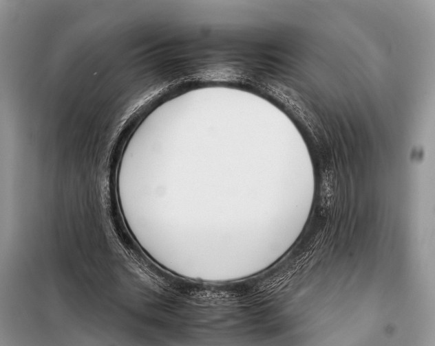 X0000098100535200805021112