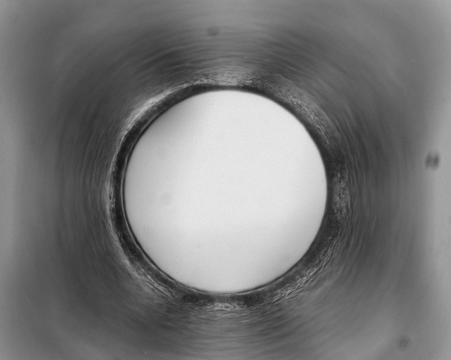 X0000098100536200805021112