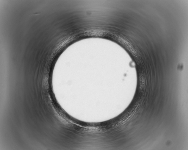 X0000098100538200805021112