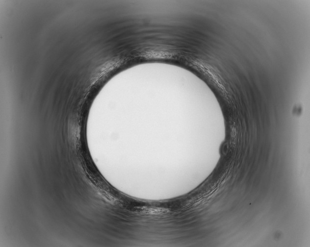 X0000098100539200805021112
