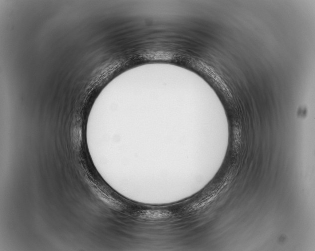 X0000098100541200805021112