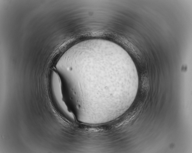 X0000098100542200805021112