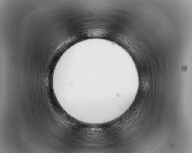 X0000098100543200805021112
