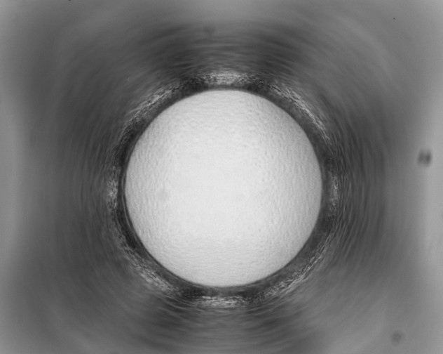 X0000098100545200805021112