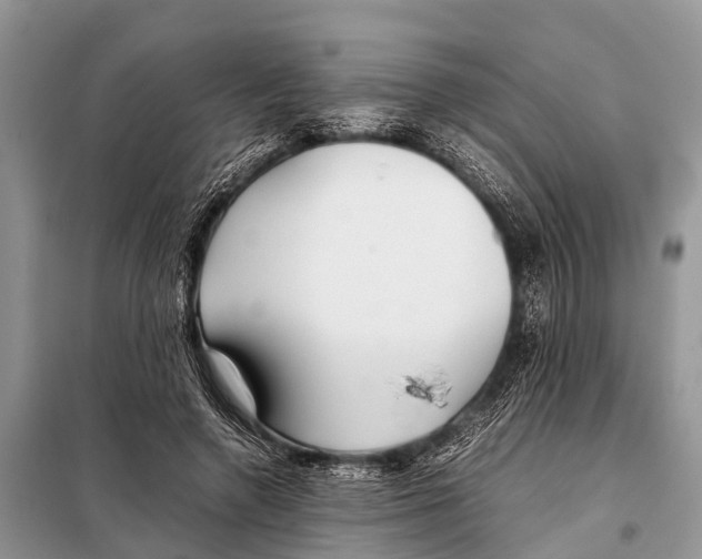 X0000098100546200805021112