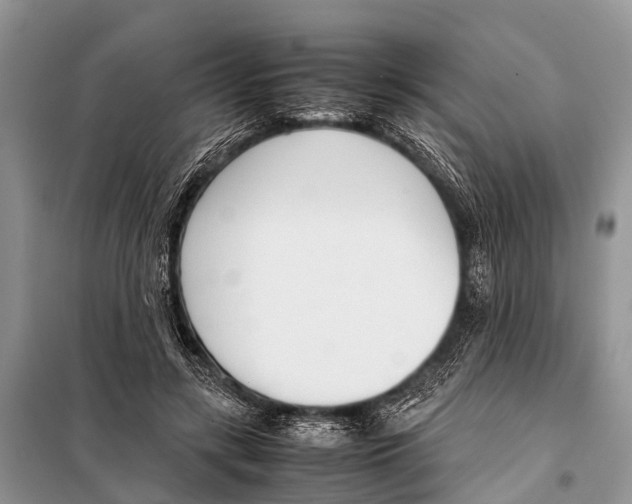 X0000098100547200805021112