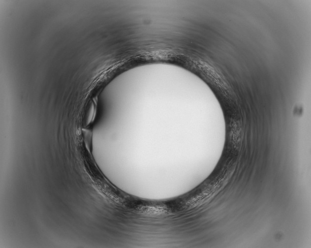 X0000098100548200805021112