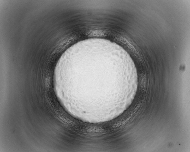 X0000098100549200805021112