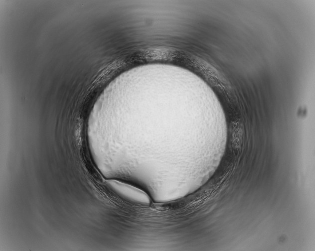 X0000098100550200805021112