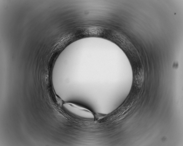 X0000098100552200805021112