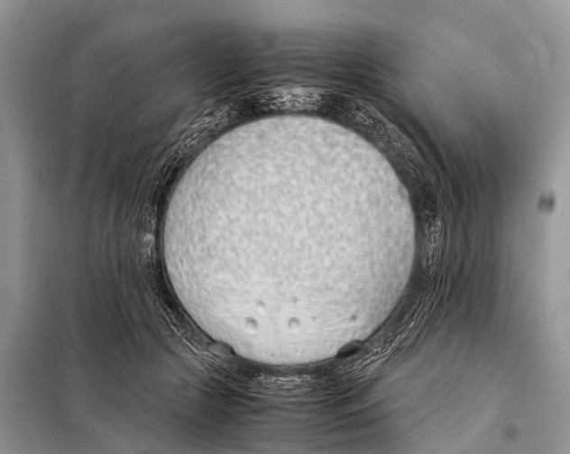 X0000098100553200805021112