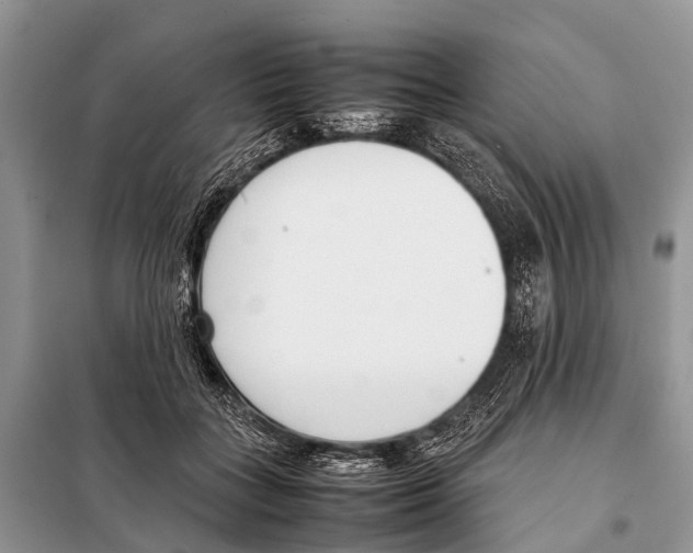 X0000098100555200805021112