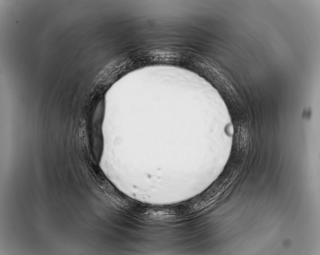 X0000098100557200805021112