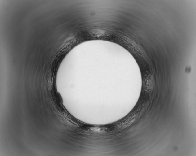 X0000098100558200805021112