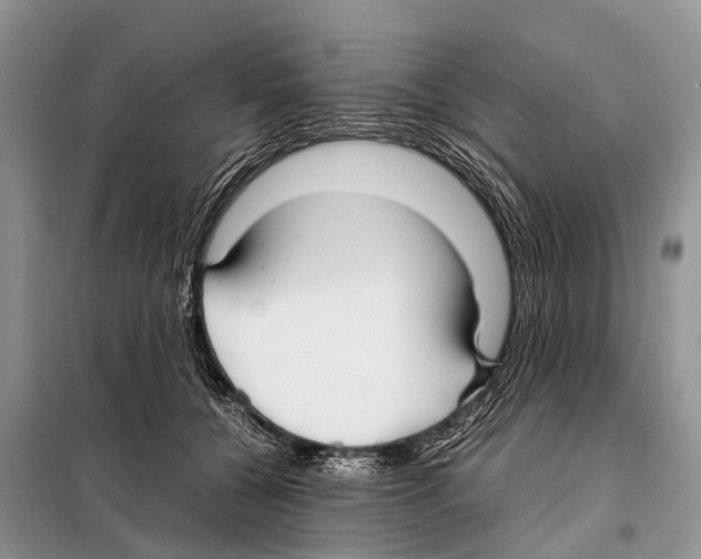 X0000098100560200805021112