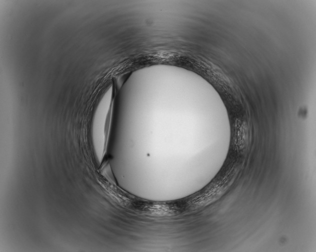 X0000098100562200805021112
