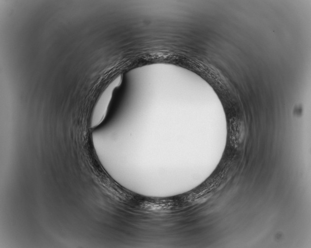 X0000098100563200805021112