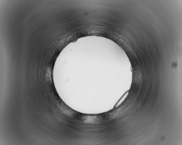 X0000098100575200805021112