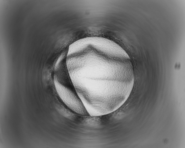 X0000098100576200805021112