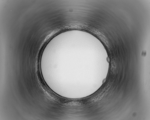 X0000098100578200805021111