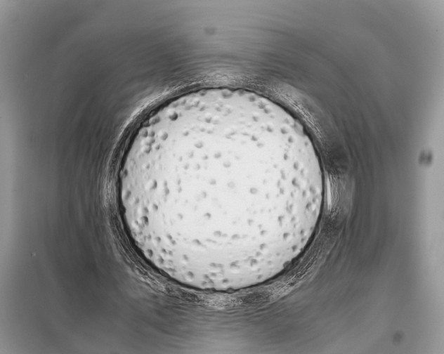 X0000098100579200805021111