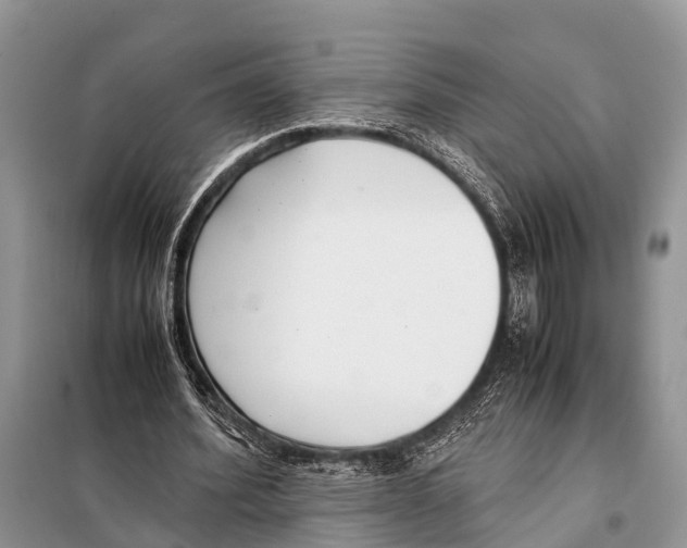 X0000098100580200805021111