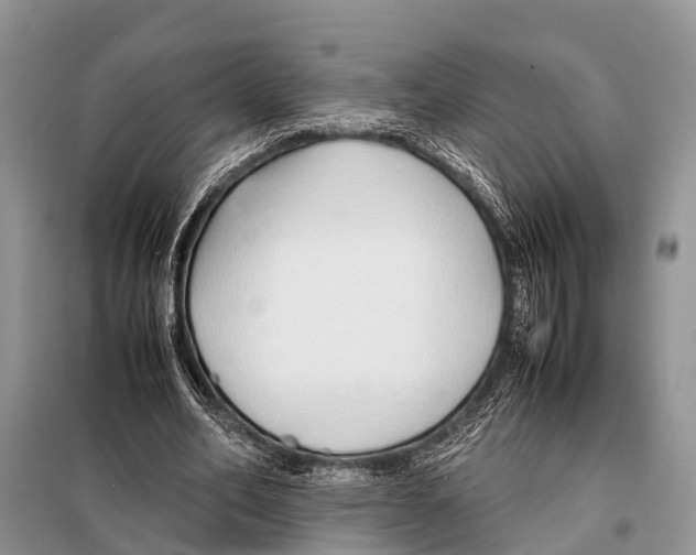 X0000098100582200805021111