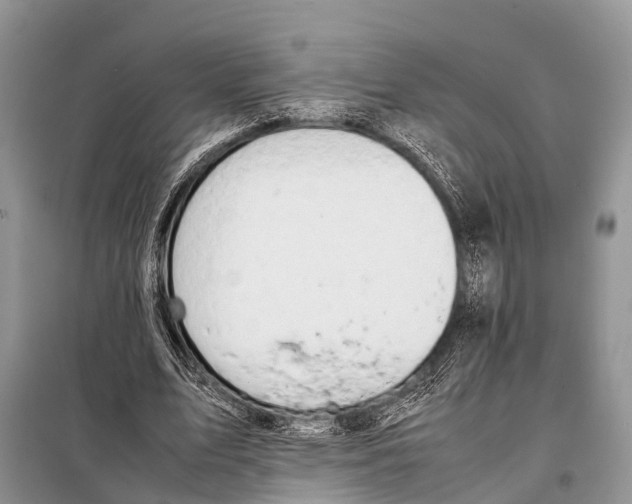 X0000098100583200805021111